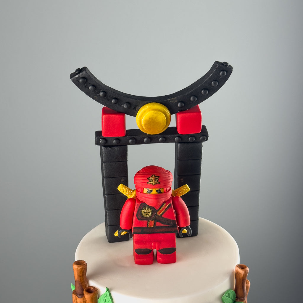 Ninjastorm