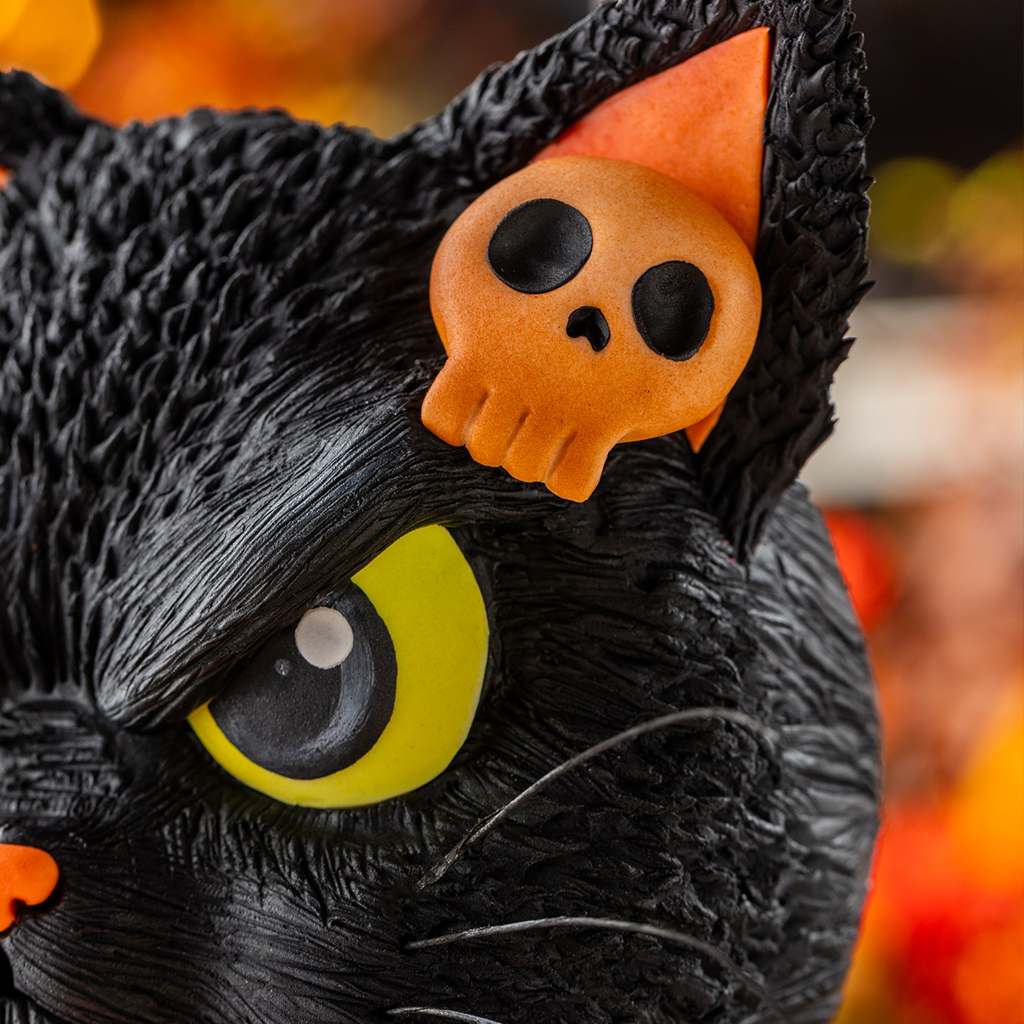 The Purr-kin Patch