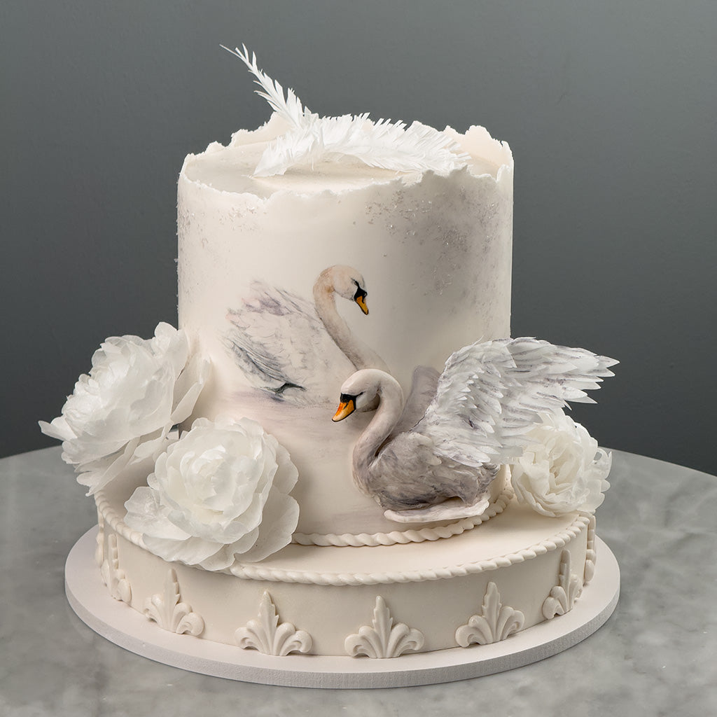 Swan