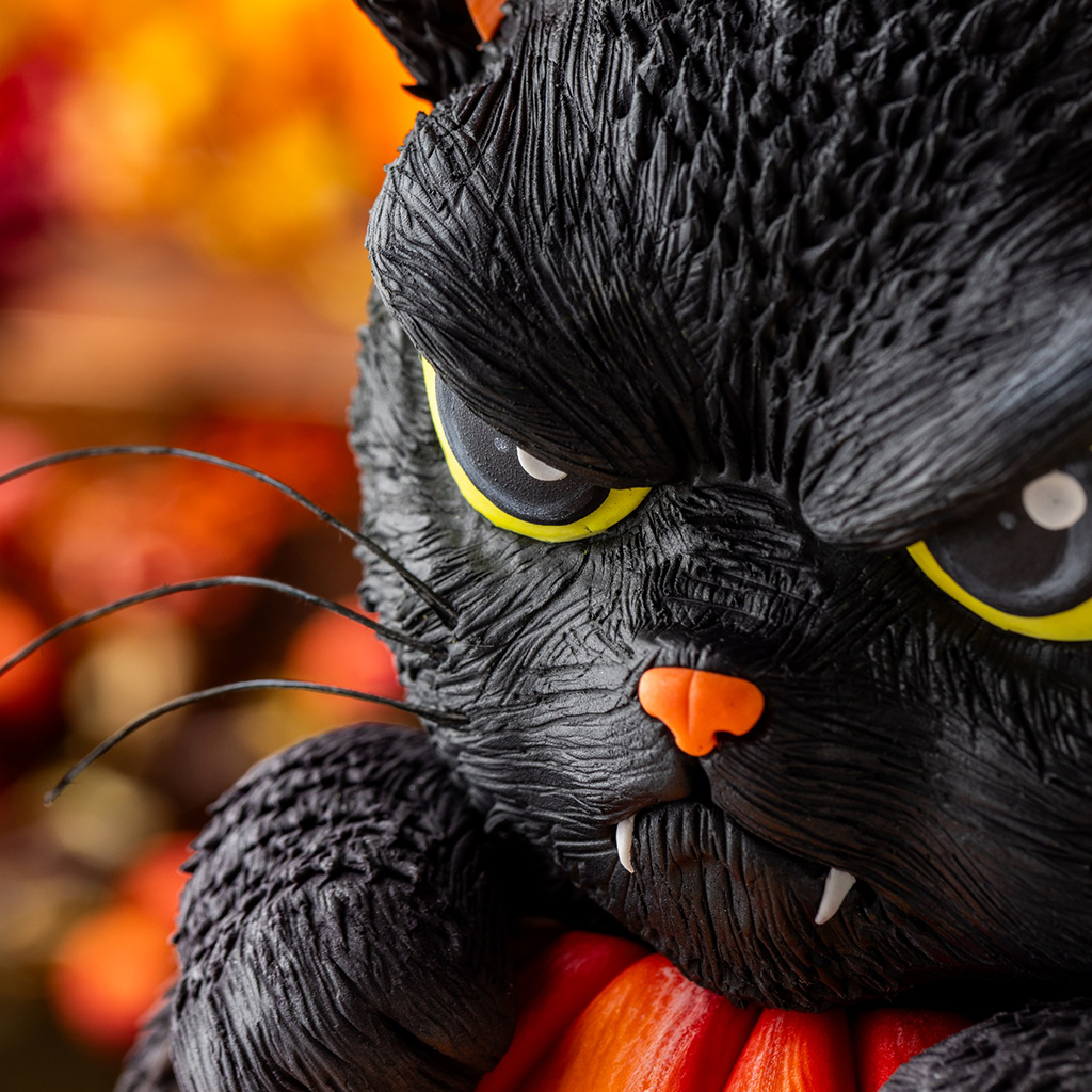 The Purr-kin Patch